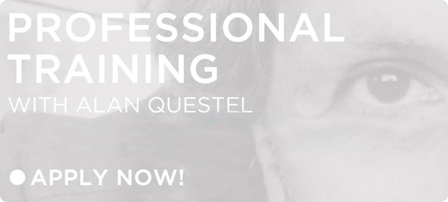 Professional Feldenkrais training with Alan Questel, still open for enrollment! Apply now -  Feldenkrais Santa Fe -  Feldenkrais Method